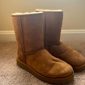 New Classic Short Chestnut Uggs Size 9